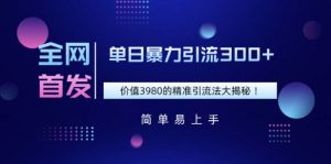 独家首发，使用价值3980单日暴力行为引流方法300 的精准引流方法法大曝光-创业资源网