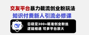 交友网站暴力行为截留自主创业粉游戏玩法,社交电商新手引流方法必修课程,日平稳300 精确自主创业粉丝们,逻辑性互通可全平台变大-创业资源网