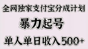 各大网站独家代理支付宝钱包分为方案，暴力行为养号，单人单日收益好几张-创业资源网
