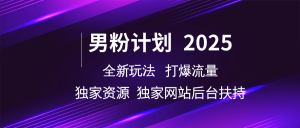 粉丝方案2025  全新玩法打穿总流量 独立网站 单独网络资源后台管理帮扶-创业资源网