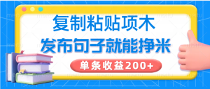 拷贝小程序,公布语句可以赚米,一条盈利200-创业资源网