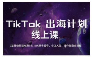 TikTok跨境电子商务初学者养号和运营攻略大全,0基本做跨境电商TIKTOK初学者养号,小商店进驻,操作说明全过程-创业资源网