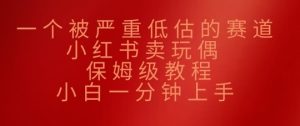 一个被严重低估的赛道,小红书的卖公仔,家庭保姆级实例教程,小白一min入门-创业资源网