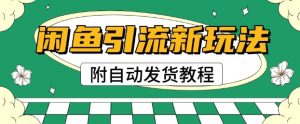 2025闲鱼引流新模式,日引200 自主创业粉,每日平稳好几张盈利(附自动发卡密实例教程)-创业资源网