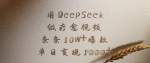 用DeepSeek做治愈短视频，一条条10W 爆品，单日转现好几张-创业资源网