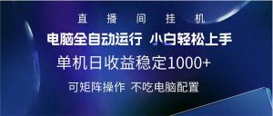 2025直播房间全新游戏玩法单机版日入1000  全自动控制 可引流矩阵实际操作-创业资源网