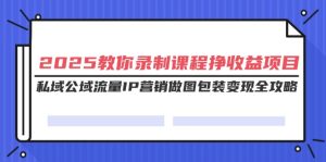 2025教大家录制课程挣盈利新项目,公域公域流量IP营销推广作图外包装转现攻略大全-创业资源网