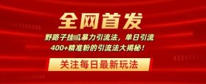 独家首发,歪门邪道暴力行为引流法,单日引流方法400 精准粉的引流法大曝光-创业资源网