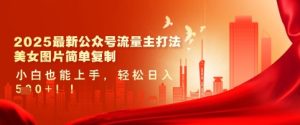 2025最新公众号流量主打法,美女图片简单复制,小白也能上手,轻松日入5张-创业资源网