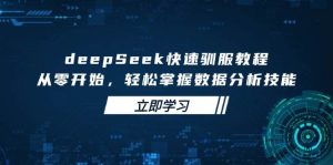 deepSeek迅速收服实例教程,从零开始,快速掌握数据分析技能-创业资源网
