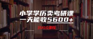 小学文化卖考研班,一天收5600-创业资源网