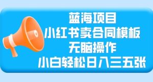 蓝海项目,小红书的卖合同范本,没脑子实际操作,新手轻轻松松日入三张-创业资源网