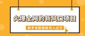 火爆全网的新风口新项目，依靠人工智能技术AI看命，免费预测运势，初学者都可以轻松月入了W-创业资源网