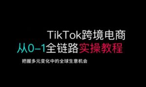 TikTok跨境电子商务从0-1全链路营销多方位实际操作实例教程,掌握多元化发展中全球买卖机遇-创业资源网