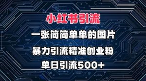 小红书图片玩法,运用一张很简单的照片,暴力行为引流方法精确自主创业粉,单日引流方法500-创业资源网