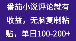 番茄小说评价就会有盈利,没脑子拷贝,单日100-200-创业资源网
