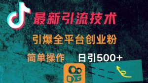 全新推广方法,点爆全网平台的一个自主创业粉,易操作日引300-创业资源网