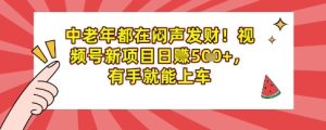 中老年人都是在闷声发财,微信视频号最新项目日入好几张,两双手就可进入车内-创业资源网