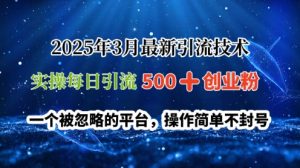 2025年3月全新引流技术,实际操作每日引流方法500 自主创业粉,一个被忽视服务平台,使用方便防封号-创业资源网