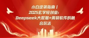 新手逆转手册,2025风水玄学轻创业:Deepseek大数据技术 易经算法结合游戏玩法-创业资源网