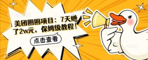 美团外卖圆圈新项目：7天赚了2w元，家庭保姆级实例教程-创业资源网