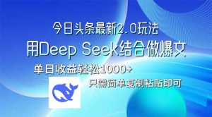 今日今日头条全新2.0版本号，用Deep Seek融合今日今日头条做热文，单日盈利轻轻松松10...-创业资源网
