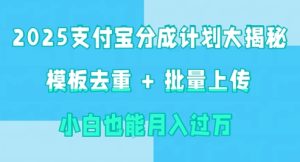 2025支付宝钱包分为方案大曝光 模版去重复 批量采集 新手也可以月入了w-创业资源网