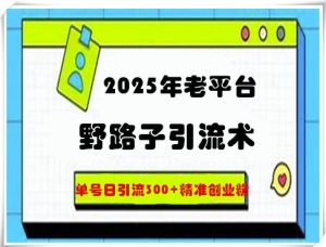 2025年老平台歪门邪道引流术，运单号日引流方法300 精确自主创业粉-创业资源网