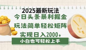 今日今日头条2025全新游戏玩法,构思简易,拷贝,真正实现引流矩阵日入2000-创业资源网