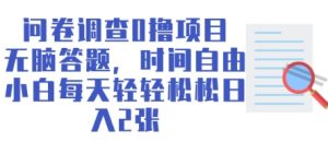 问卷调查0撸项目，无脑答题，时间自由，小白每天轻轻松松日入2张-创业资源网