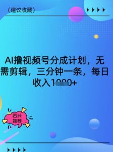 AI撸视频号分为方案,不用视频剪辑,三分钟一条,每日收益好几张-创业资源网