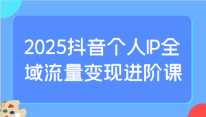 2025抖音个人IP全域流量变现进阶课:选爆品、抖音付费投流、千川投流实操及优化等-创业资源网
