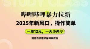 bilbil暴力行为引流:2025年新蓝海,一单12元,一天多张(附开白渠道家庭保姆级实例教程)-创业资源网