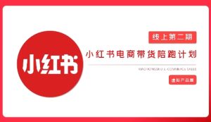 2025小红书的虚似电子商务实战演练课,从0到1打造出无货源店铺,AI 爆品手记轻轻松松转现-创业资源网