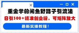 巨资学得闲鱼平台歪门邪道引流法,日引300 精确自主创业粉,可引流矩阵变大-创业资源网