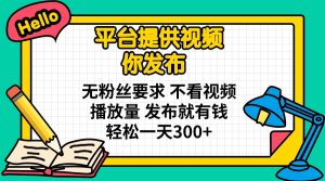 系统提供短视频 你公布 无粉丝们规定 不要看视频流量 公布就有钱 轻轻松松一天300-创业资源网