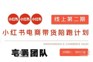 小红书电商卖货课2期，月盈利20个小红书电商的是一手货源，无货源电商，虚拟商品，付钱投流等全套游戏玩法-创业资源网