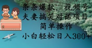 条条爆款，视频号夫妻搞笑对话项目，简单操作，小白轻松日入3张+-创业资源网