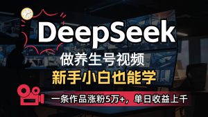 DeepSeek 既梦Ai形成中医养生视频，5分钟左右一条，一条条爆品，轻轻松松日入300-创业资源网