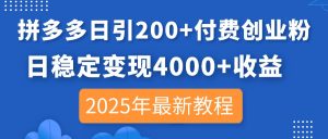 拼多多平台日引200 付钱自主创业粉,日平稳转现4000 盈利,2025年全新实例教程-创业资源网