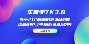 东南亚地区TK3.0:初学者/店面装修/选品策略/流量获取/订单管理/无线推广等-创业资源网
