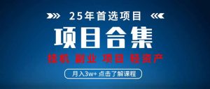 2025 实际操作新项目合辑 放置挂机种类 直播类型 轻资产创业种类 课程分享各分部...-创业资源网
