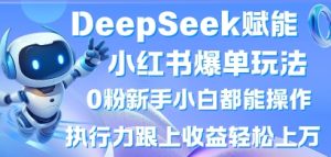 DeepSeek创变小红书的打造爆款游戏玩法0粉新手入门都可以实际操作，执行能力紧跟盈利轻轻松松上W，懒人神器勿做-创业资源网