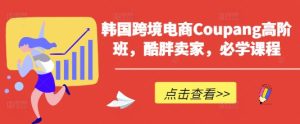 韩跨境电子商务Coupang高级班,酷胖商家,必会课程内容-创业资源网