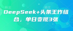 DeepSeek+头条王炸组合,单日变现3张-创业资源网
