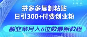 拼多多复制粘贴日引300+付费创业粉,割韭菜月入6位数最新教程!-创业资源网