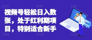 微信视频号轻轻松松日入多张,处在风口期新项目,尤其适合新手-创业资源网