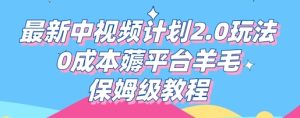 全新中视频伙伴2.0游戏玩法，0成本费薅服务平台羊毛绒，家庭保姆级实例教程-创业资源网