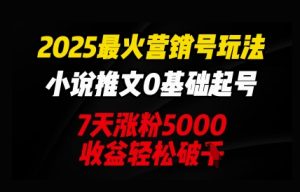 2025最红营销帐号游戏玩法：小说推文0基本养号，7天吸粉5000，盈利轻轻松松破k-创业资源网
