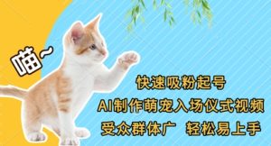 快速吸粉养号，AI制做萌宝入场仪式短视频，受众人群广，轻轻松松上手快-创业资源网